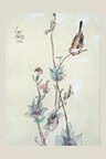 bird and flowers